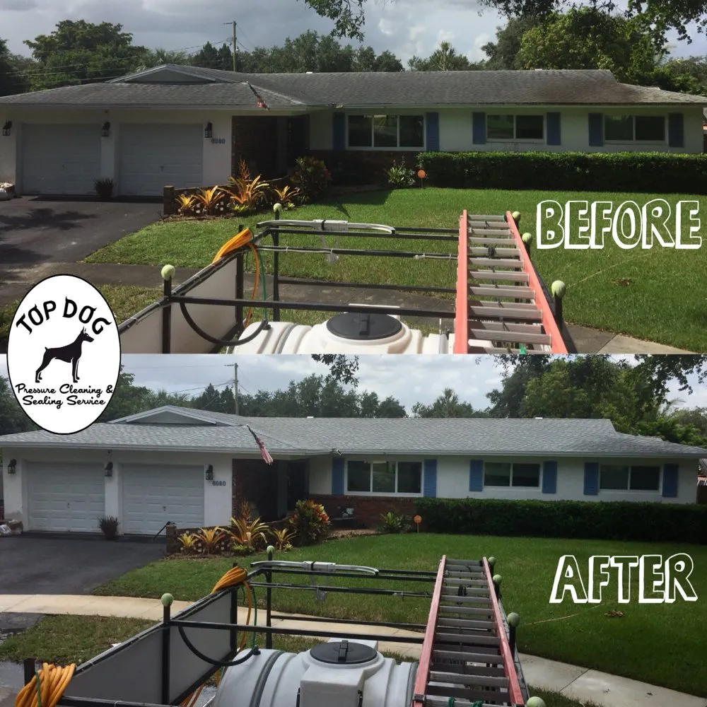 Slide of Top Dog Pressure Cleaning & Sealing Service