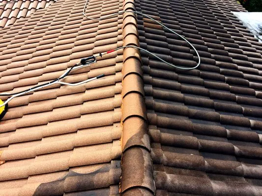 Top Dog Pressure Cleaning & Sealing Service