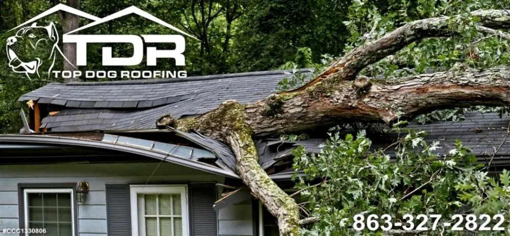 Slide of Top Dog Roofing