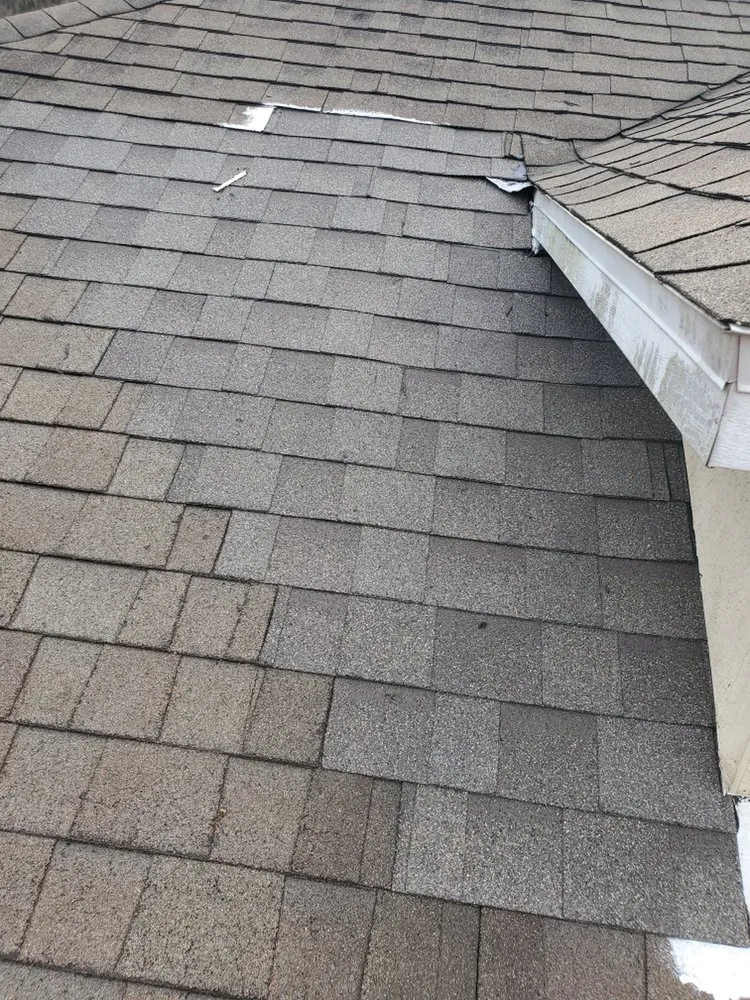 Slide of Top Dog Roofing