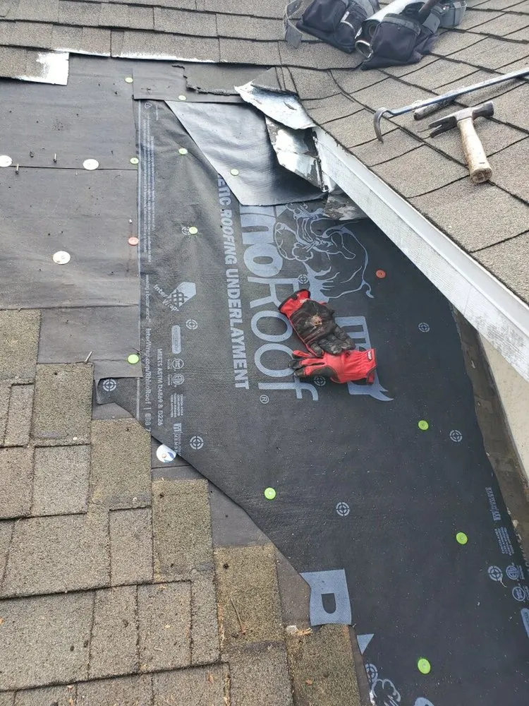 Slide of Top Dog Roofing