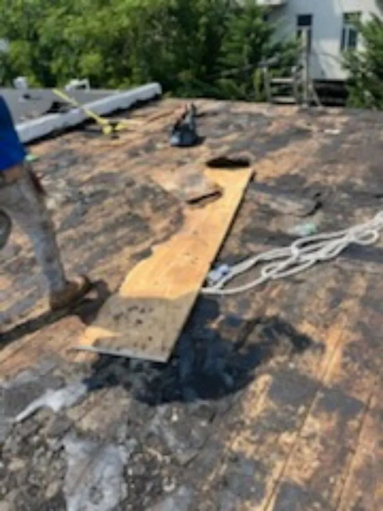 Slide of Top Down Restoration