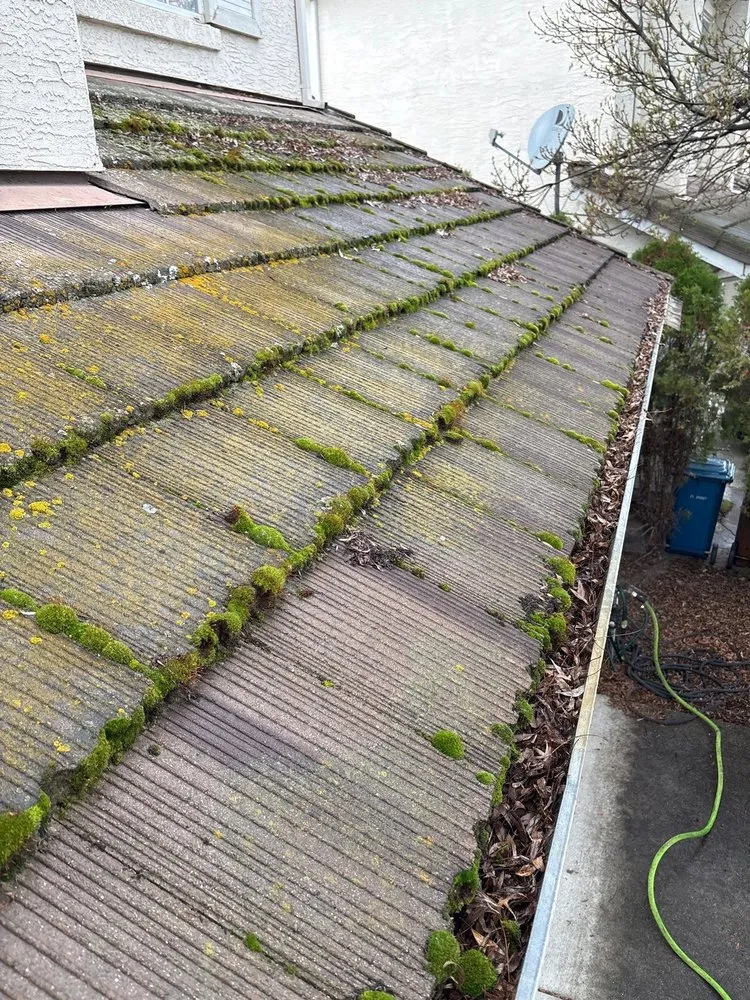 Slide of Top Elevation Roof Cleaning And Repair