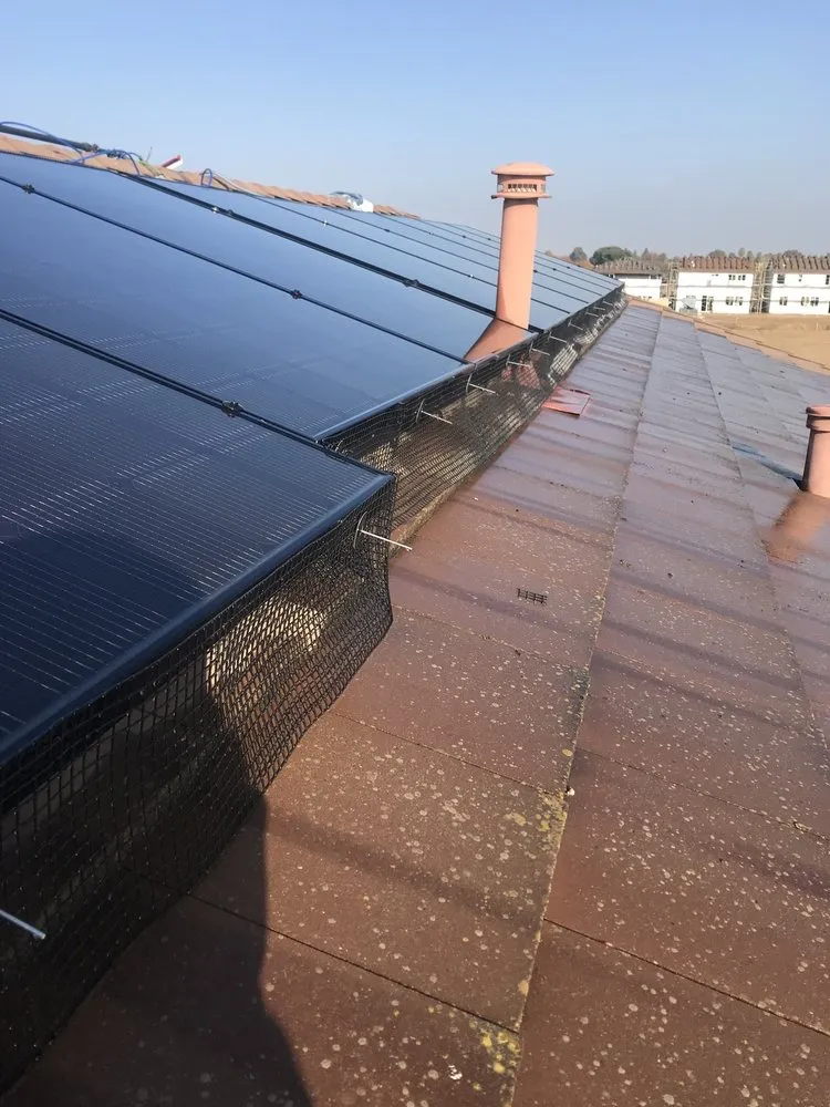 Slide of Top Elevation Roof Cleaning And Repair