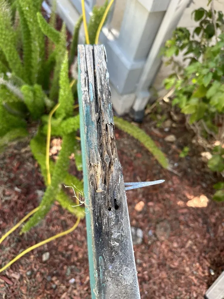 Slide of Top Elevation Roof Cleaning And Repair