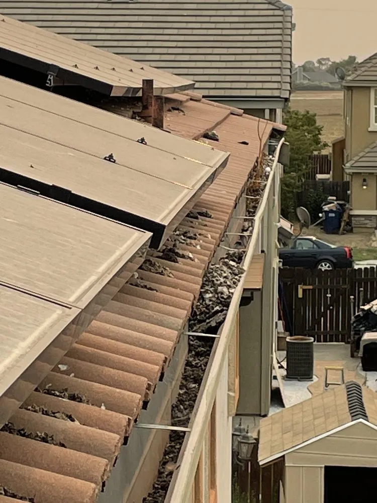 Slide of Top Elevation Roof Cleaning And Repair