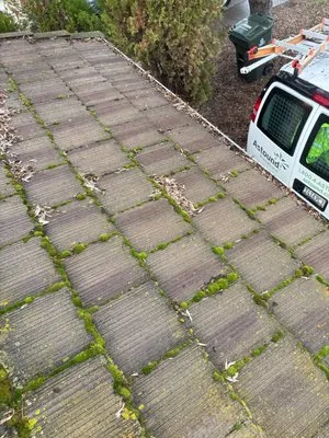 Top Elevation Roof Cleaning And Repair