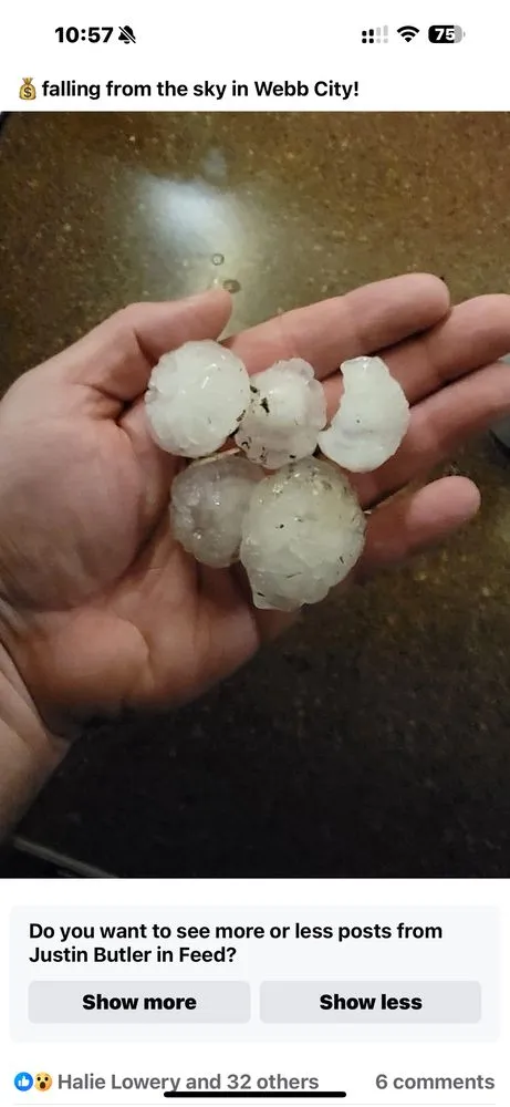 Slide of Top Flight Inspections