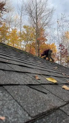 Top Metal Roofing