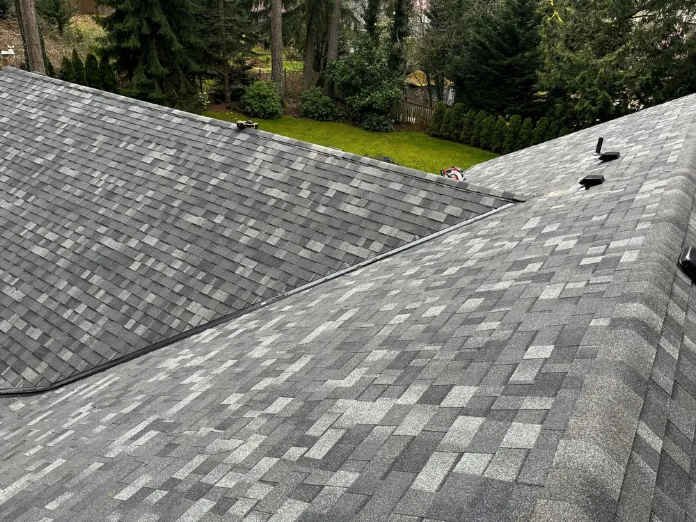 Slide of Top Notch Cons