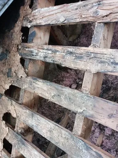 Slide of Top Notch Cons