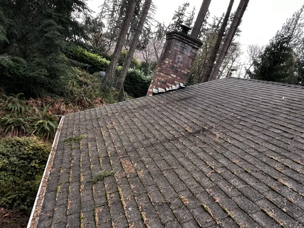 Slide of Top Notch Cons