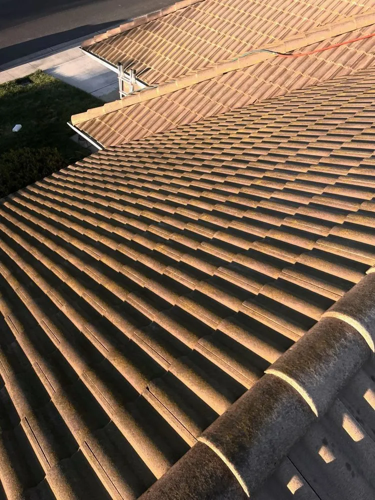Slide of Top Notch Roof & Gutter Cleaning