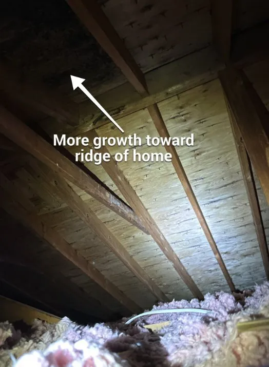 Slide of Top Notch Roofing Pros