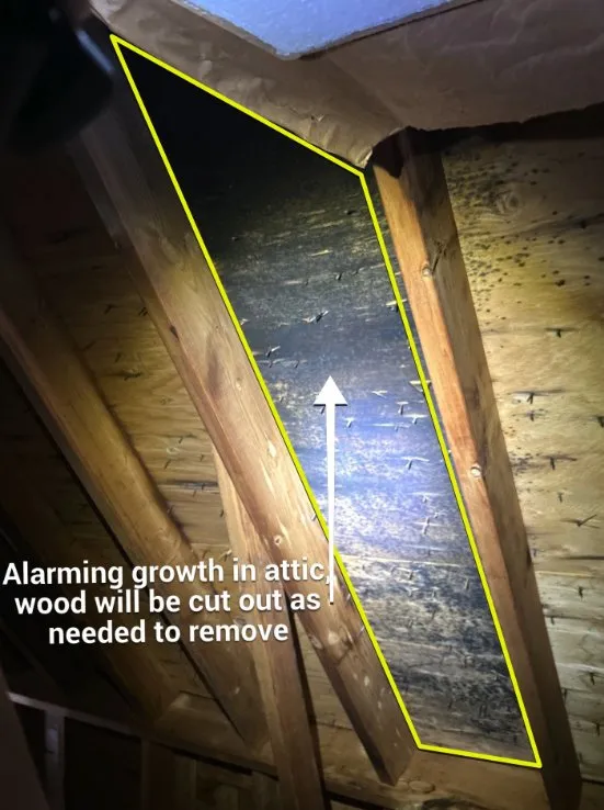 Slide of Top Notch Roofing Pros