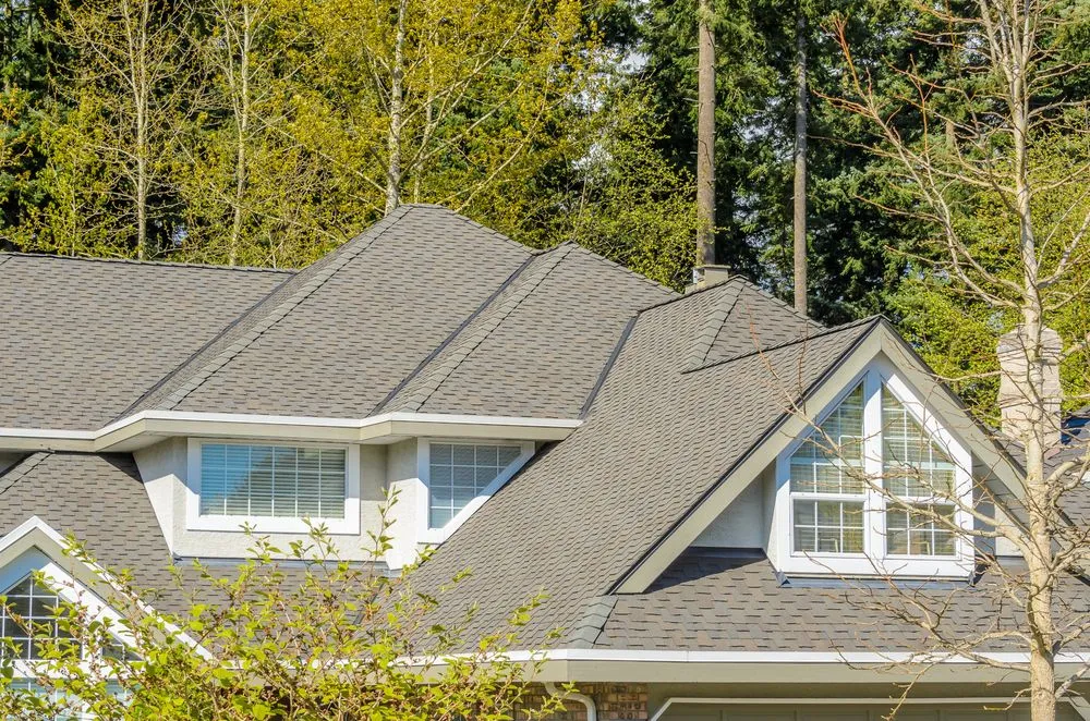 Slide of Top Notch Roofing