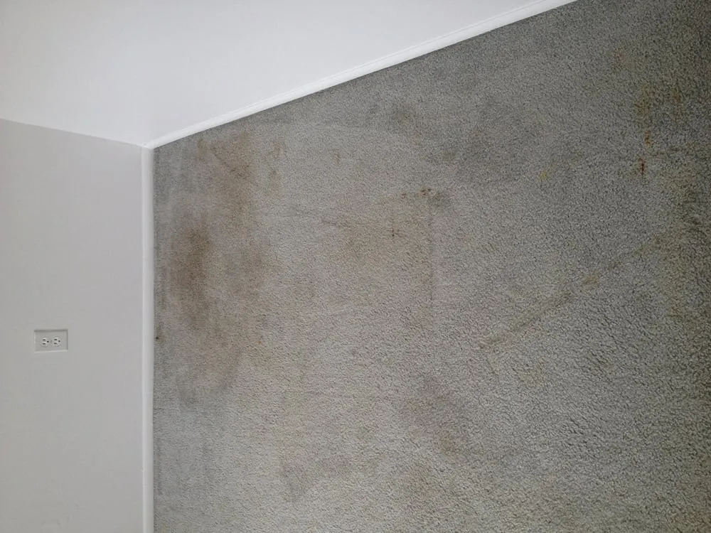 Slide of Top Notch Services