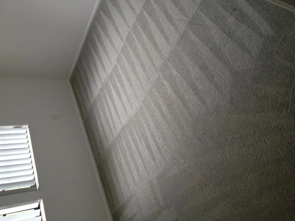 Slide of Top Notch Services