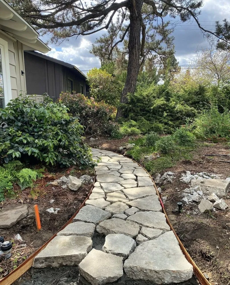 Slide of Top Notch Solutions