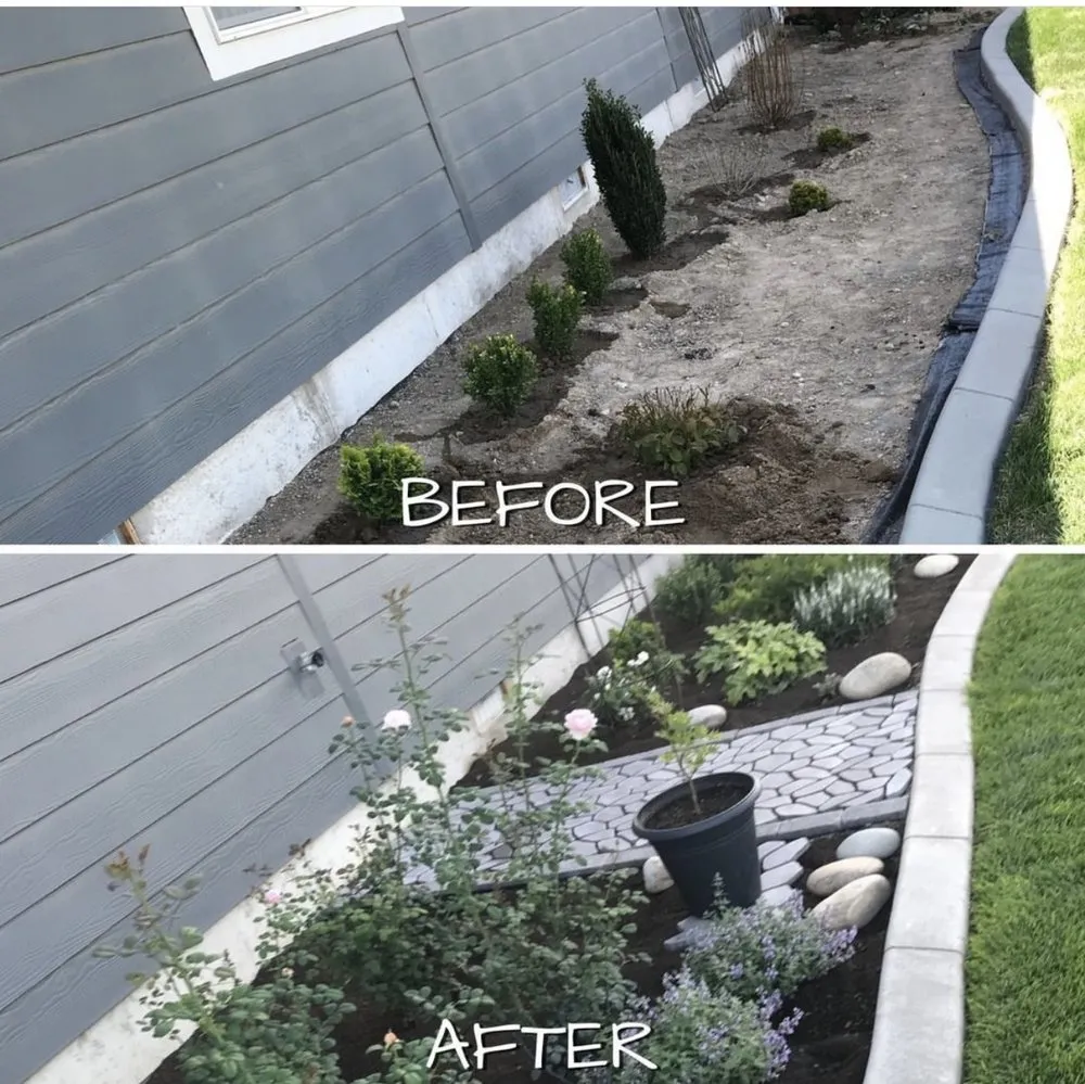 Slide of Top Notch Solutions