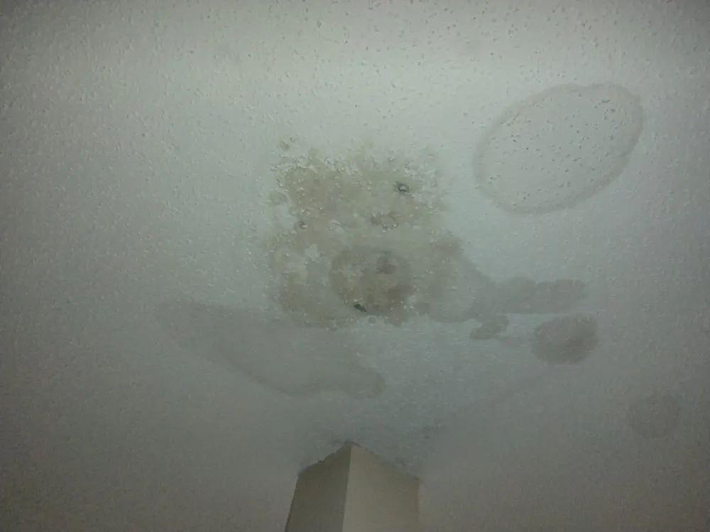 Slide of Top of the House Professionals