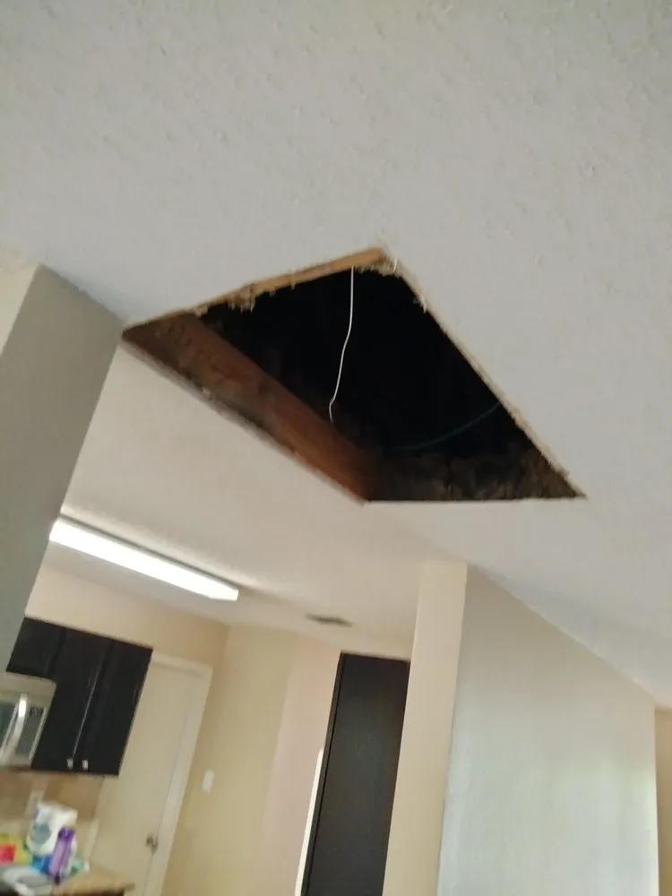 Slide of Top of the House Professionals