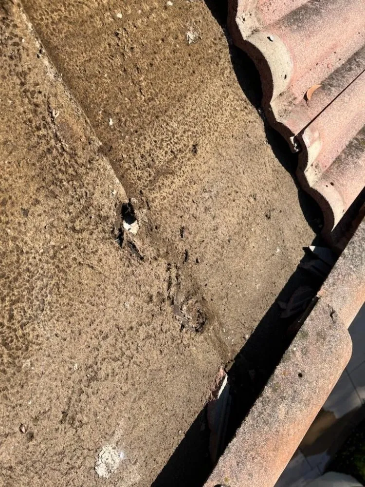 Slide of Top Of The Line Roofing