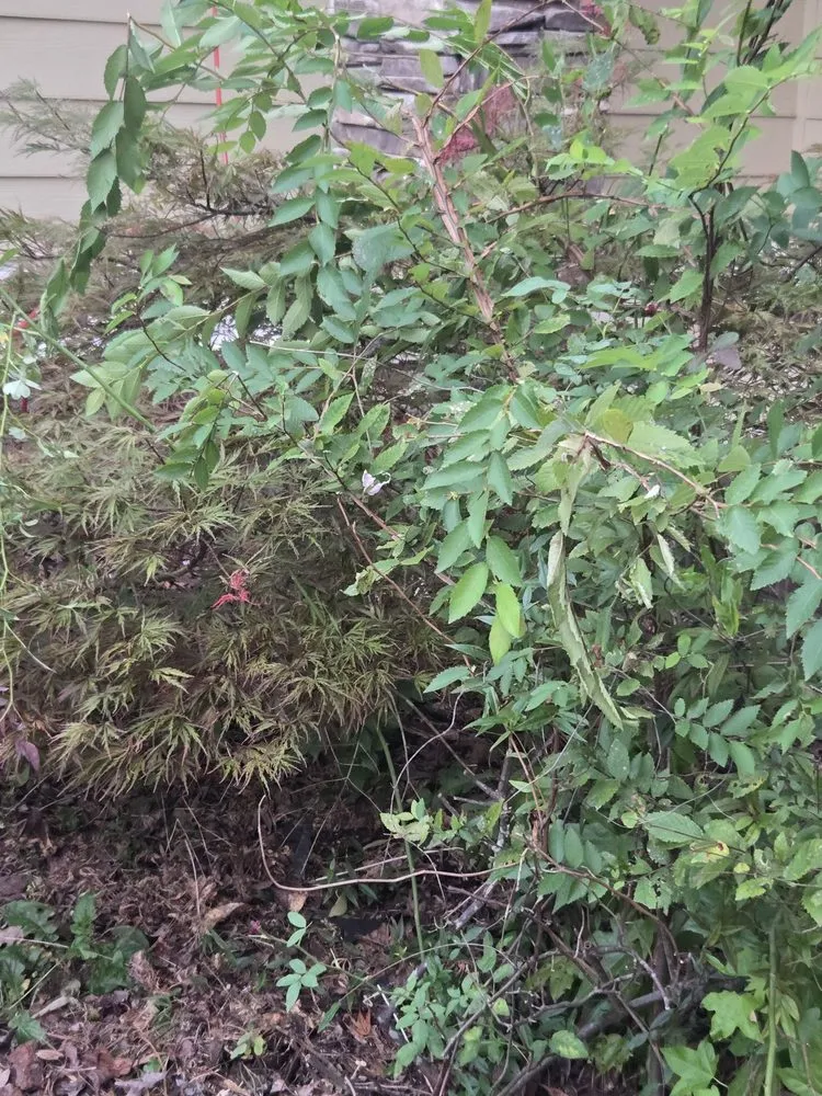 Slide of Top Pitch Storm & Disaster Services