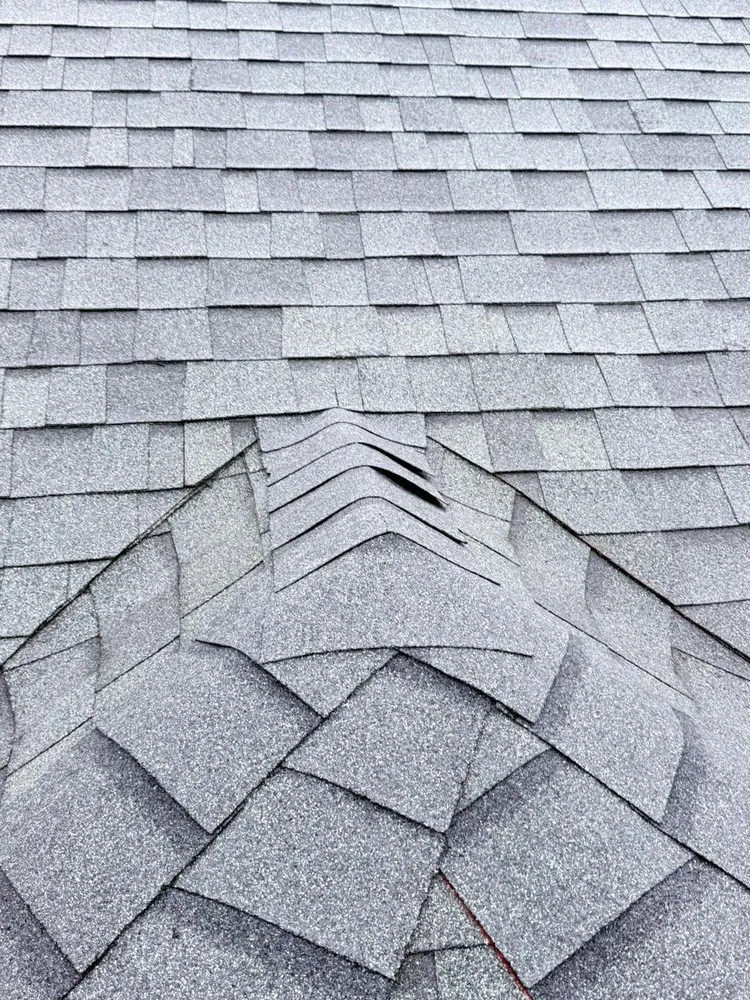 Slide of Top Property Services