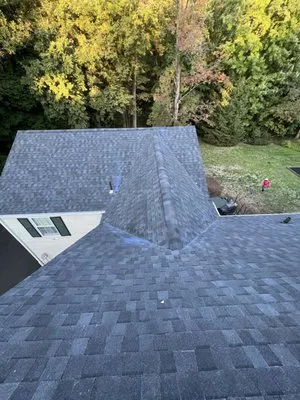Top Quality Home Renovation
