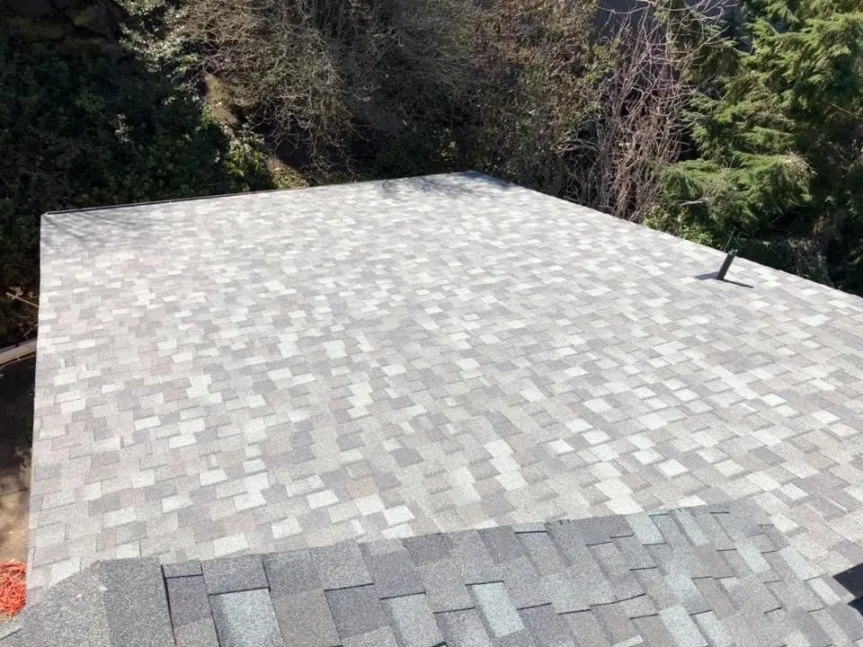 Slide of Top Roof Care