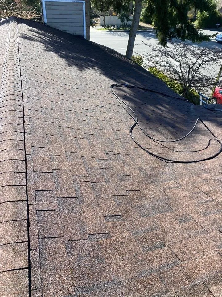 Slide of Top Roof Care