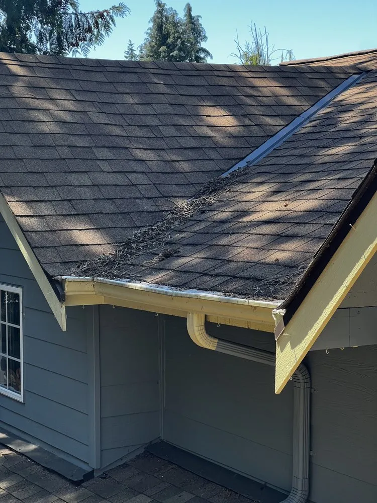 Slide of Top Roof Exterior