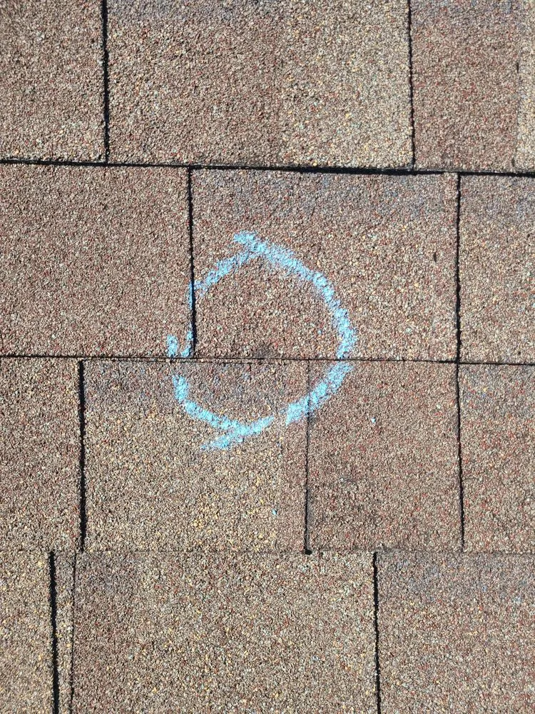 Slide of Top Shelf Construction