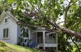 Slide of Top Shelf Construction