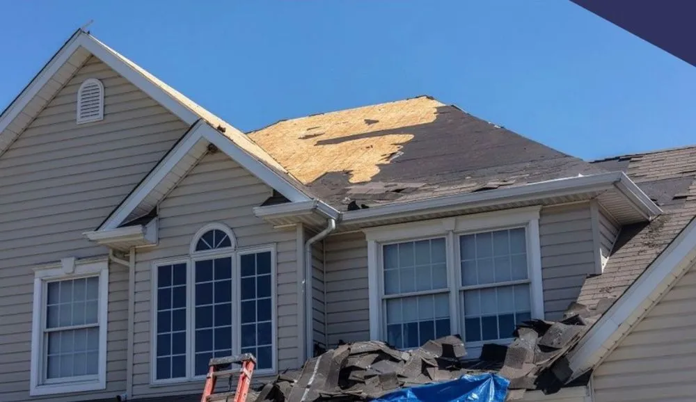 Slide of Top Shield Construction