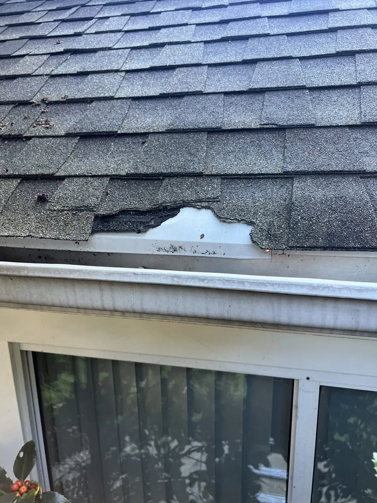 Slide of Top Stream Exterior