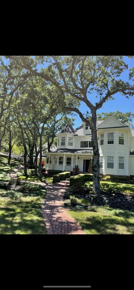 Slide of Top Tier Roofing