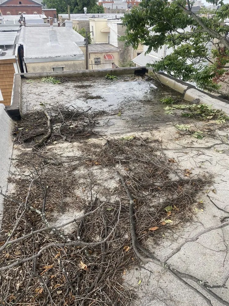 Slide of Top Tier Roofing