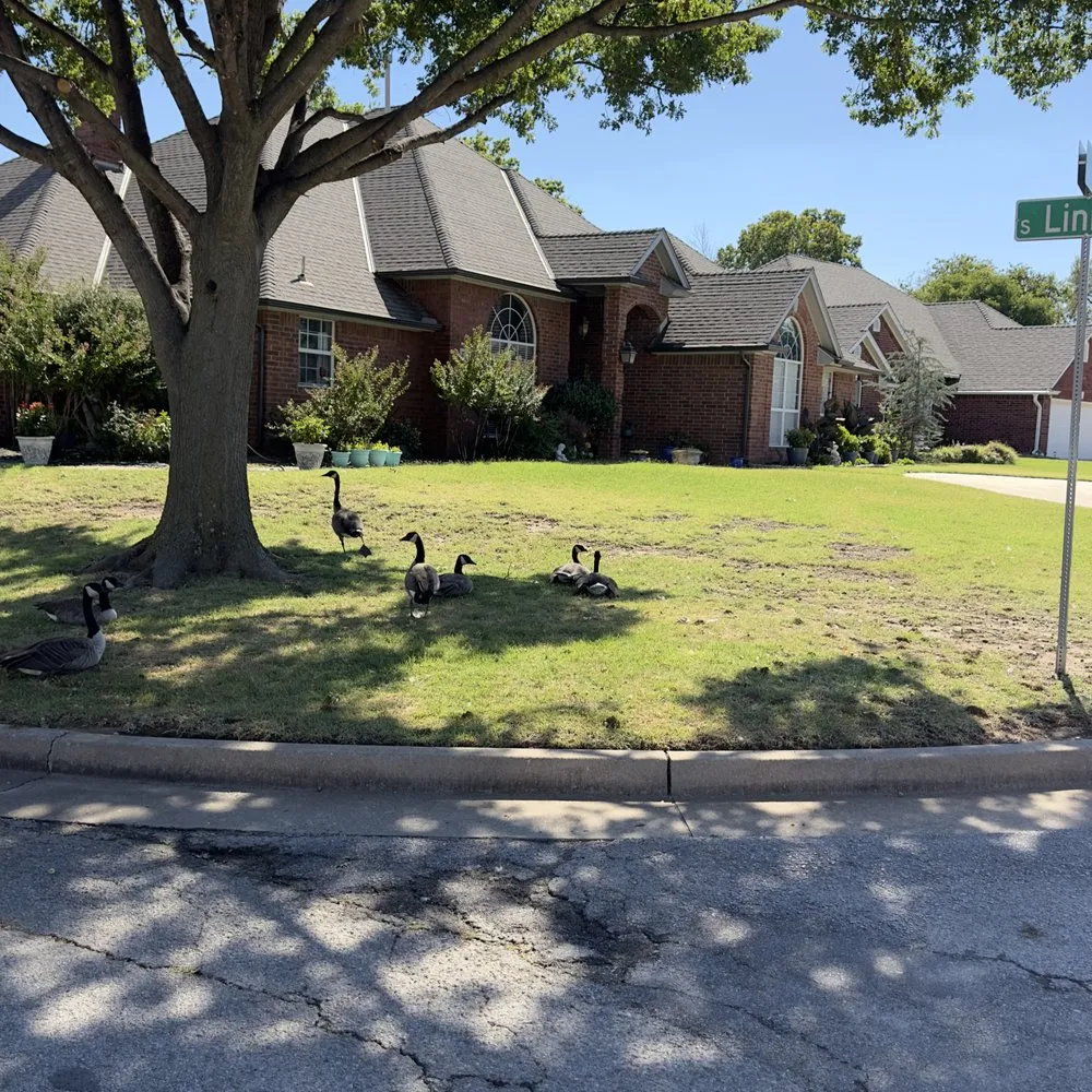 Slide of Top View Roofing