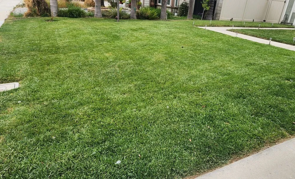 Slide of Topline Outdoor Works