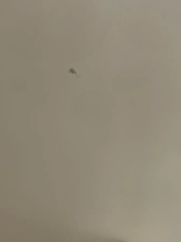 Slide of Topper Construction