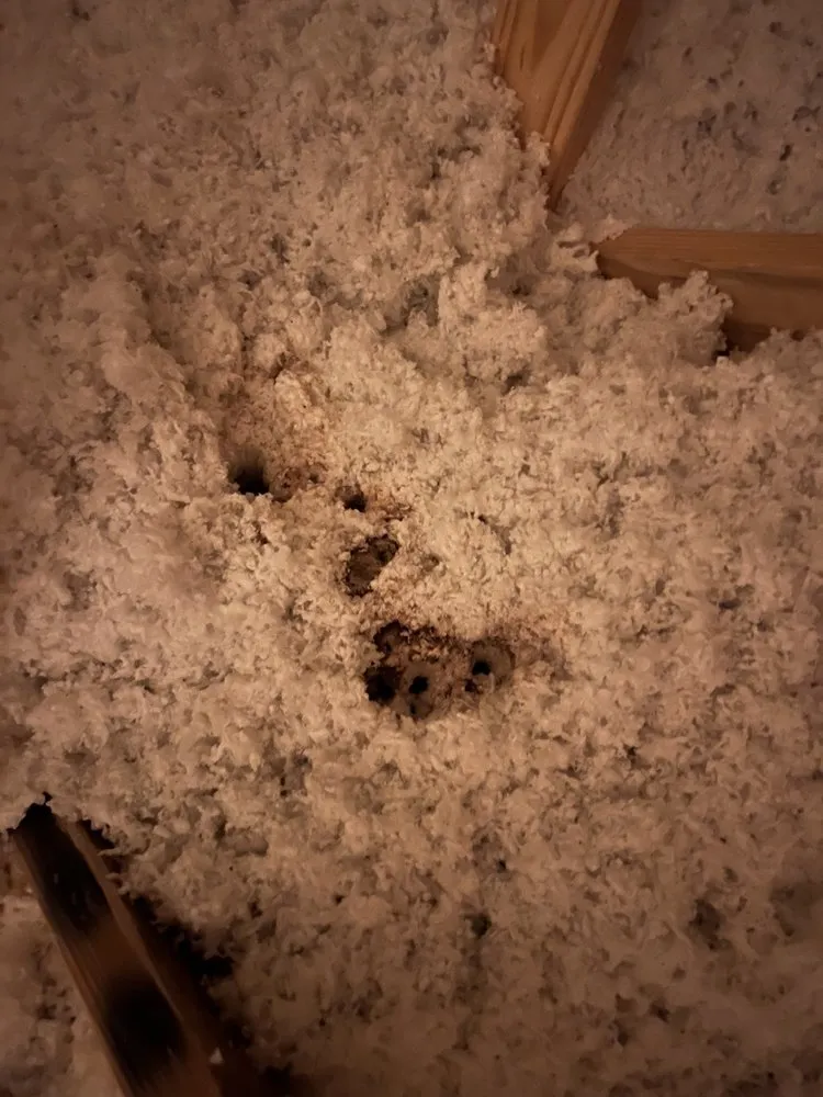 Slide of Topper Construction