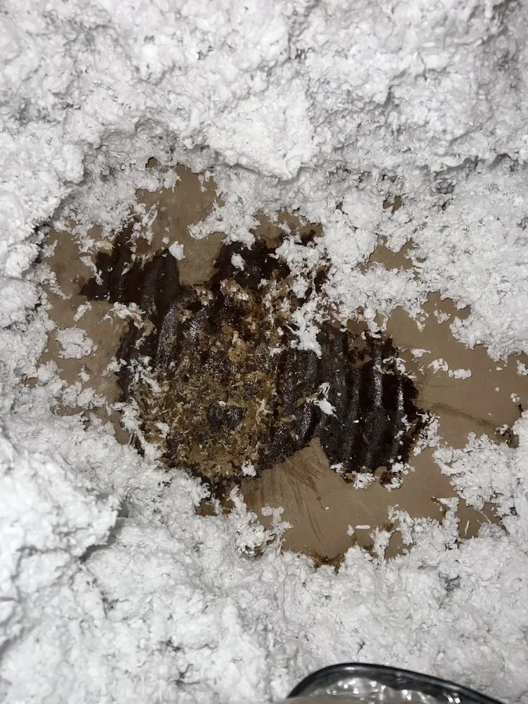 Slide of Topper Construction