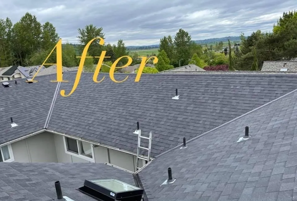 Slide of Toro's Remodeling