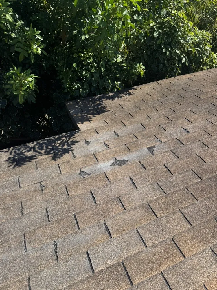 Slide of Torres & Son Roofing