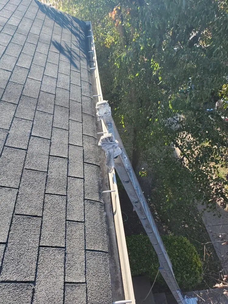 Slide of Torres Gutter Cleaning