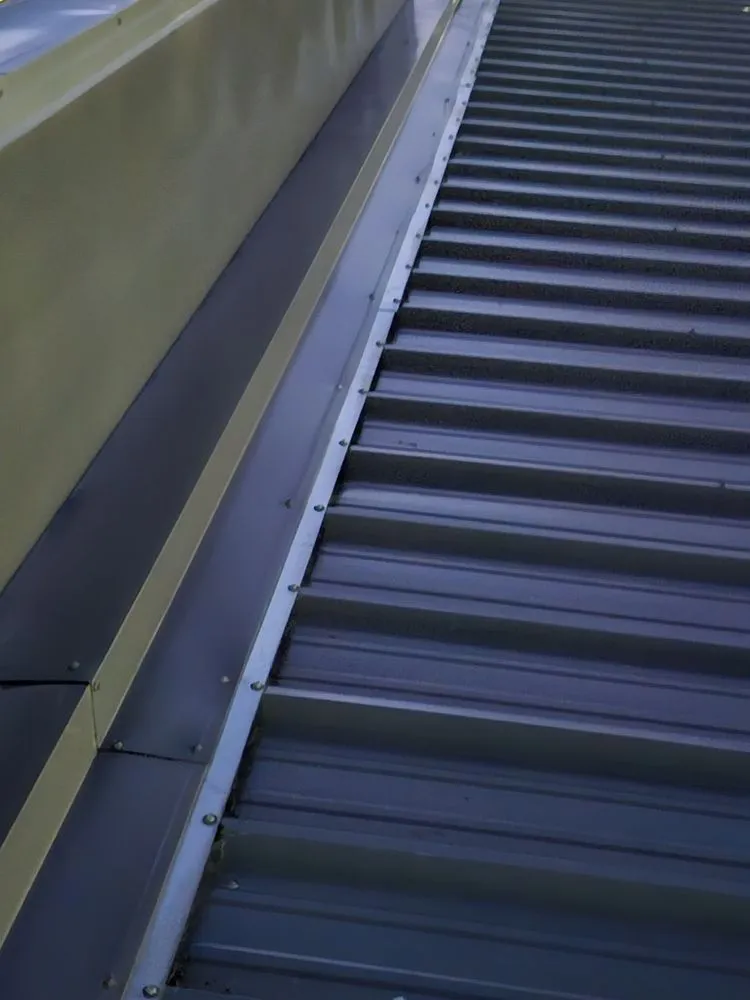 Slide of Torres Roofs