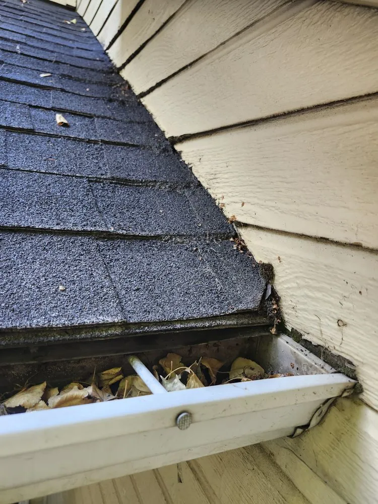 Slide of Torres Roofs