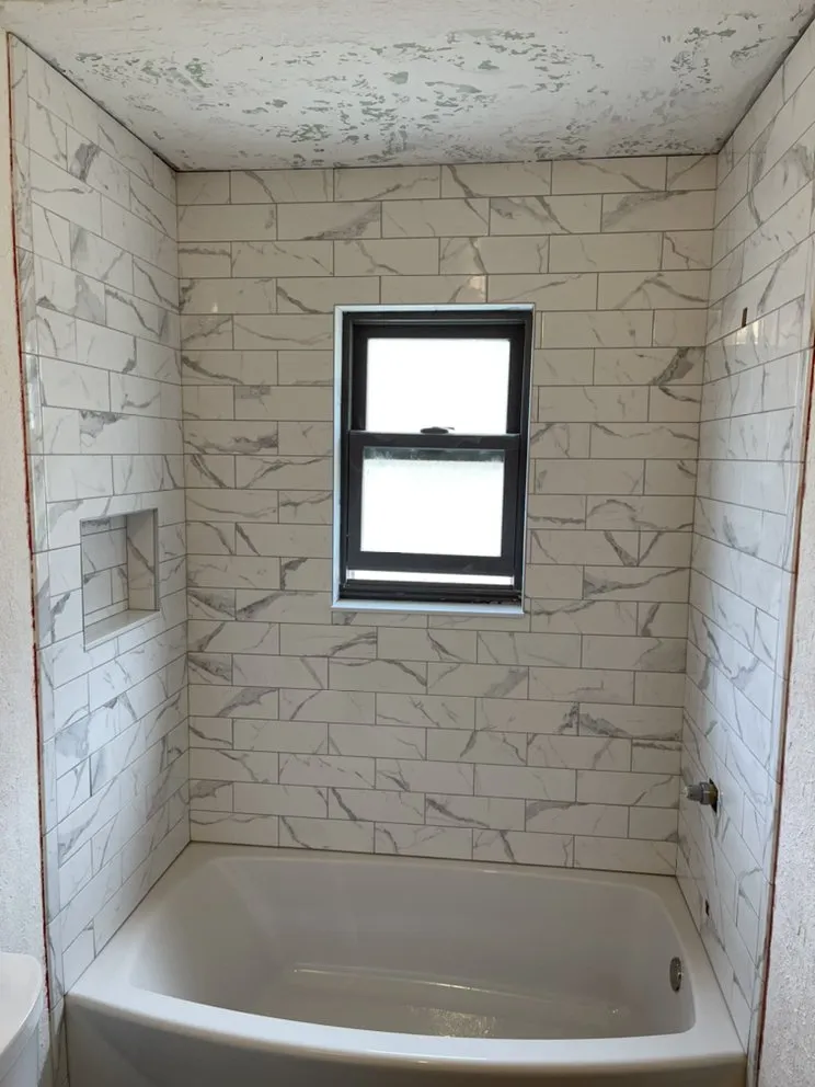 Slide of Tortoise Architectual